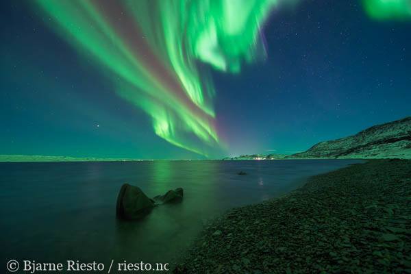 Geitrams. Varangerfjorden, Finnmark 
