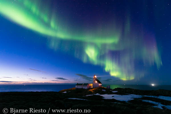 Geitrams. Varangerfjorden, Finnmark 