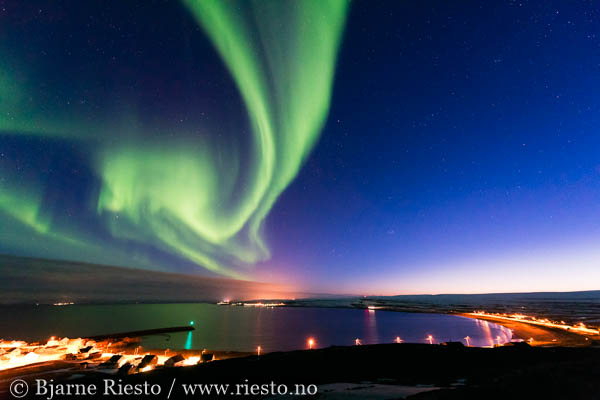 Geitrams. Varangerfjorden, Finnmark 