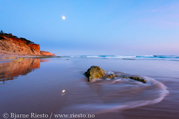 Point Lobos. Carmel, California