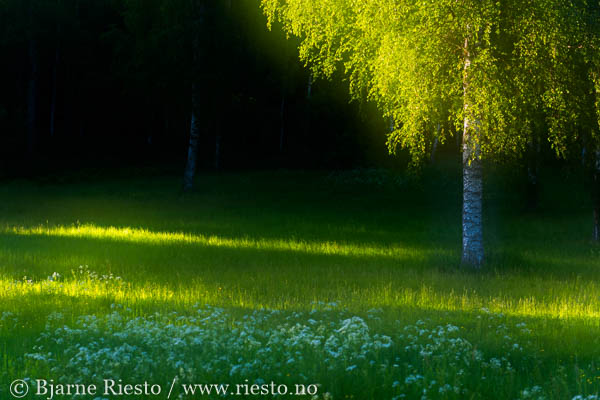 Cadaqués, Cadaques, Spain