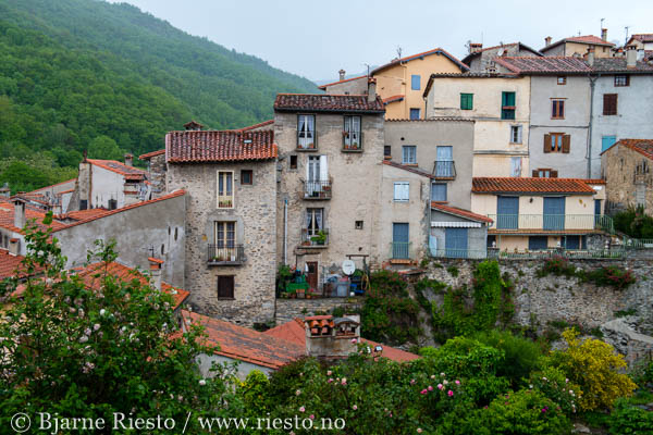 Point Lobos. Carmel, California