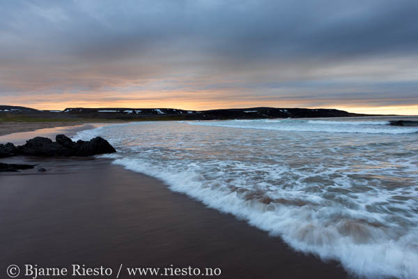 Multer, multebær. Finnmark 