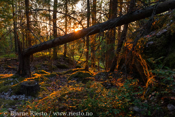Cadaqués, Cadaques, Spain