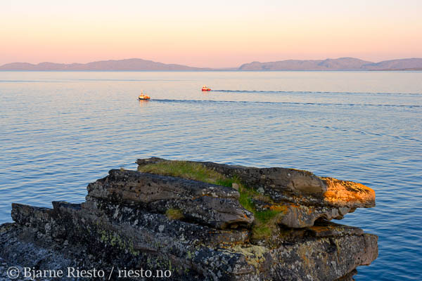 Multer, multebær. Finnmark 