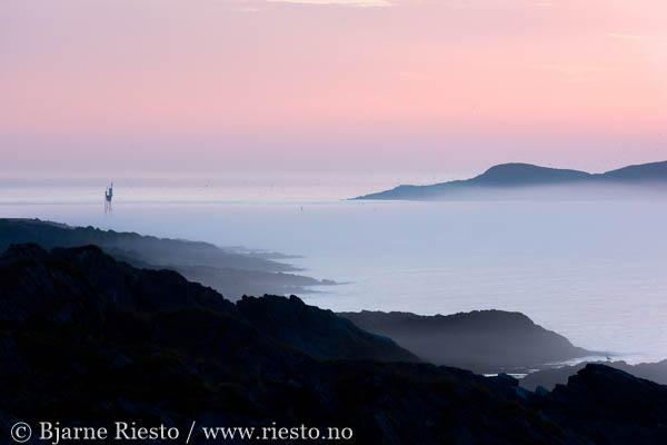 Multer, multebær. Finnmark 