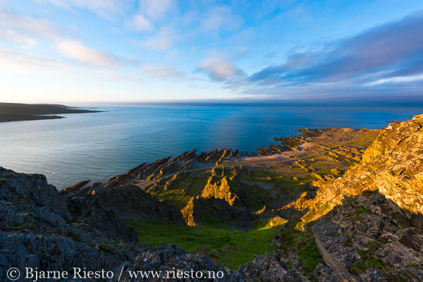 Multer, multebær. Finnmark 