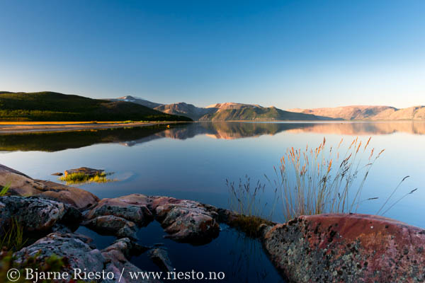 Multer, multebær. Finnmark 