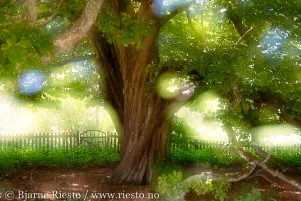 Cadaqués, Cadaques, Spain