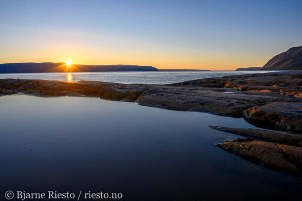 Multer, multebær. Finnmark 