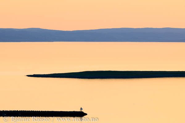 Multer, multebær. Finnmark 