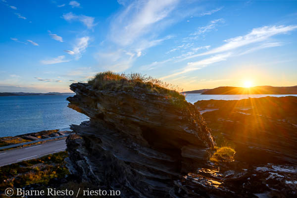Multer, multebær. Finnmark 