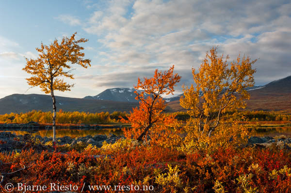 Cadaqués, Cadaques, Spain