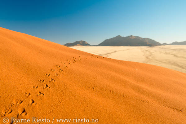Sossusvlei, Namibia