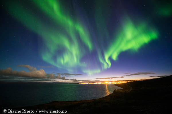 Geitrams. Varangerfjorden, Finnmark 