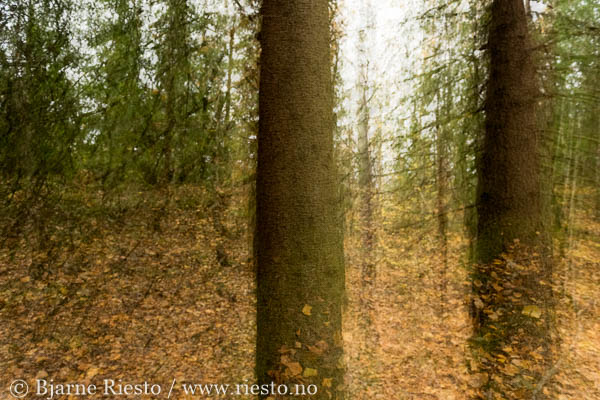 Cadaqués, Cadaques, Spain