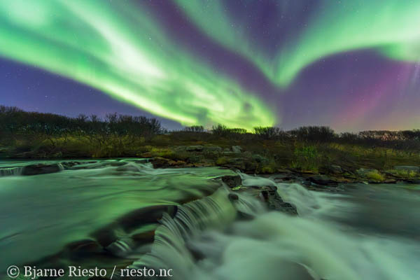 Geitrams. Varangerfjorden, Finnmark 
