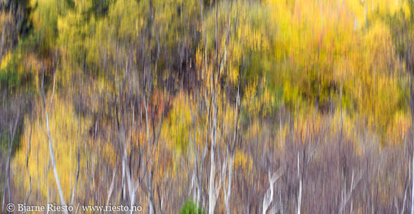 Cadaqués, Cadaques, Spain
