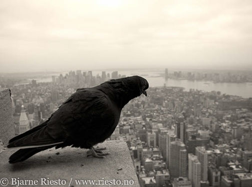 Manhattan view. Empire state building, New York