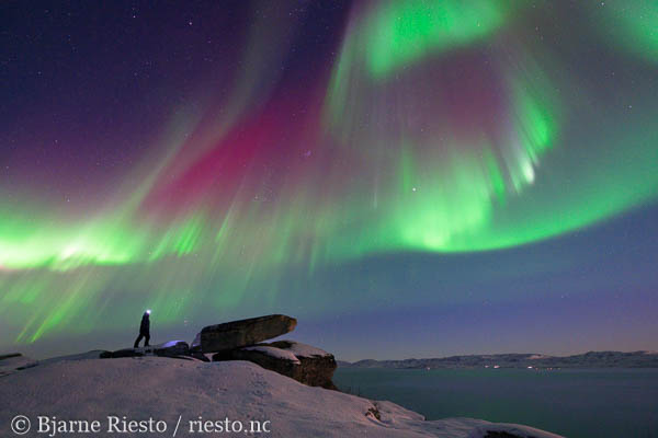 Geitrams. Varangerfjorden, Finnmark 