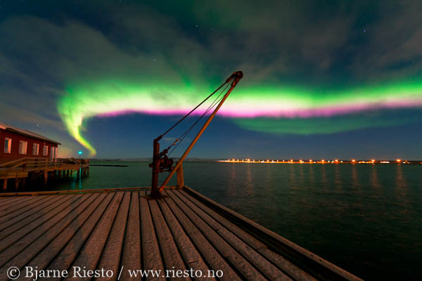 Geitrams. Varangerfjorden, Finnmark 