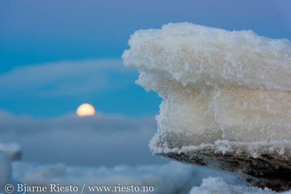 Varangerfjorden, Finnmark