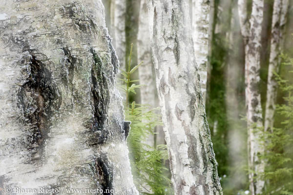 Cadaqués, Cadaques, Spain